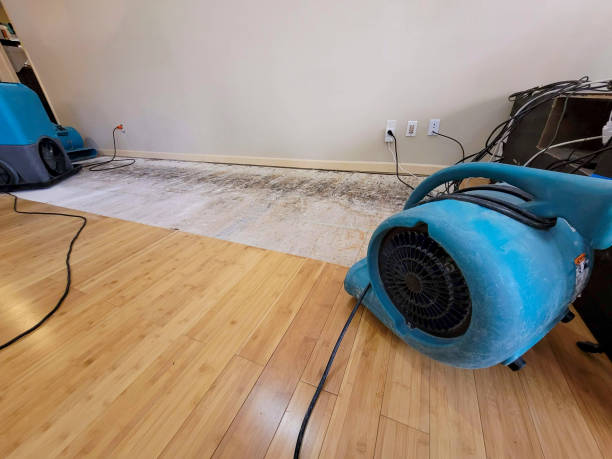 Professional Water Removal technician working in Polk City, IA